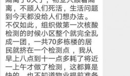 藁城网友爆料最新信息,最新事件详情曝光，真相揭晓！