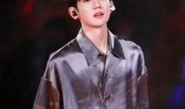 王源爆料相亲视频大全最新,揭秘明星爱情故事背后的甜蜜与挑战