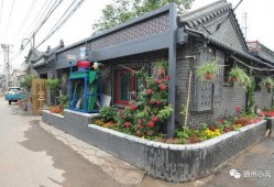 2025年1月高招S最新爆料,揭秘高招政策新动向与热门专业趋势