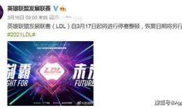 donb最新爆料,揭秘娱乐圈最新动态与幕后真相