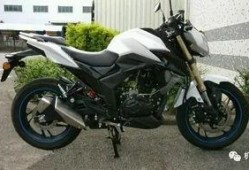 豪爵最新爆料新闻视频下载,揭秘新闻视频背后的惊人真相