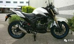 豪爵最新爆料新闻视频下载,揭秘新闻视频背后的惊人真相