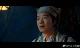 宁采臣最新爆料,娱乐圈背后的惊人真相