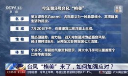最新台风爆料新闻内容视频,揭秘“XX”台风的最新路径与影响