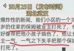 上海保姆案爆料最新进展,真相逐步浮出水面，疑点待解