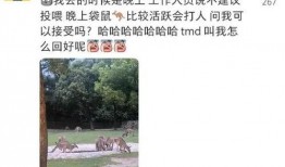 长春动物园爆料案件最新,惊曝动物虐待事件引发社会关注