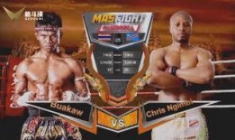 最新拳击爆料视频,神秘对决即将上演，精彩看点抢先揭秘！