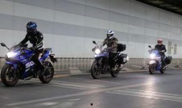 豪爵最新爆料新闻视频下载,揭秘新闻视频背后的惊人真相