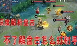 老鸟王者爆料视频大全最新