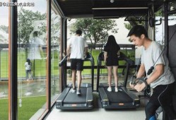 恩平爆料热线最新电话,揭秘最新爆料动态！