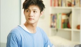 最新爆料郑业成视频播放,神秘剧情引网友热议