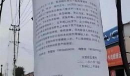 汝南一高爆料事件最新,真相与争议交织，校园风云再起