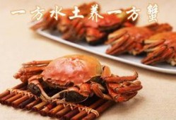 盘锦纵横河蟹爆料事件最新,揭秘背后真相与行业风波