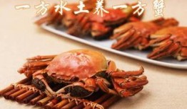 盘锦纵横河蟹爆料事件最新,揭秘背后真相与行业风波