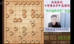象棋王子最新爆料23,最新爆料23背后的惊人内幕