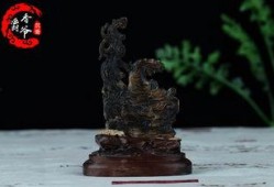沉香今日爆料最新