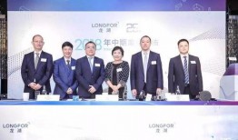 龙湖职场爆料视频最新,揭秘职场真相与幕后故事