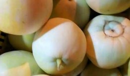 吃瓜爆料素材视频大全最新,吃瓜爆料素材视频大全，独家揭秘明星幕后故事