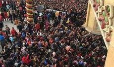 青瓜游乐场最新版爆料,全新玩法与惊喜等你探索