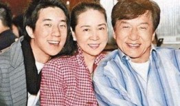 成龙房产爆料最新消息,揭秘明星豪宅背后的最新爆料