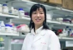杭州余女士最新爆料,揭秘事件背后惊人真相