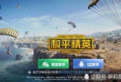 和平精英最新爆料c从那得的资源,C从那得资源揭秘，游戏玩法再升级