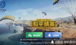 和平精英最新爆料c从那得的资源,C从那得资源揭秘，游戏玩法再升级