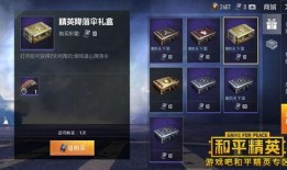 和平精英荣誉勋章军需最新爆料,荣誉勋章军需全新爆料，战力飙升新篇章