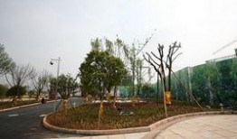 润和星城最新爆料