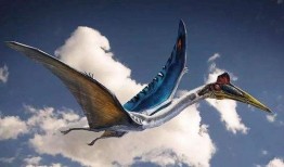 风神翼龙最新爆料视频,揭秘神秘生物的进化之谜