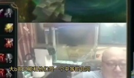 老岳爆料最新视频大全在线观看