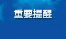 沙田媒体爆料最新消息新闻,媒体揭露重大新闻事件详情