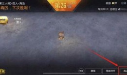 和平精英升级手雷最新爆料,性能提升，玩法革新