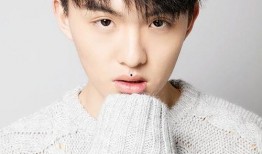 郑伟爆料视频大全下载最新,揭秘幕后真相，最新动态全收录