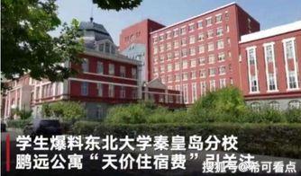 河北学校爆料事件最新进展,真相逐步浮出水面