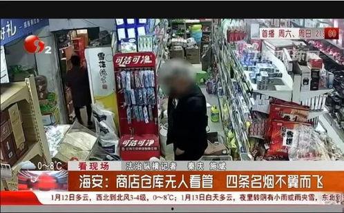 海安超市爆料案件视频最新,真相揭露，正义终将到来