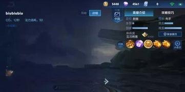 曜荣耀典藏最新爆料官方,全新爆料揭秘，神秘英雄即将登场！