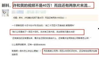 港媒爆料模板大全最新视频,揭秘视频背后的惊人真相！