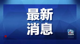 台湾爆料外债最新消息新闻,揭秘巨额债务背后的风险与挑战