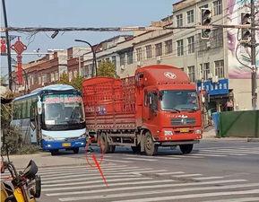 杞县黄村车祸最新爆料新闻,悲剧现场细节披露，伤亡情况引关注