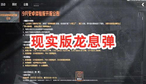 暗区最新视频爆料,神秘事件背后的惊人真相